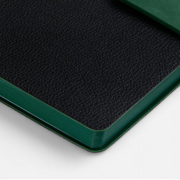 Ежедневник Boom, недатированный, черный с зеленым