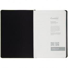 Ежедневник Alanis, недатированный, черный с зеленым