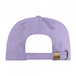 Бейсболка STAN 5 клиньев хлопок 260, 12